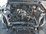 Ford Ranger 2024