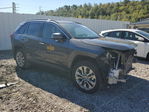 Toyota RAV 4 2023