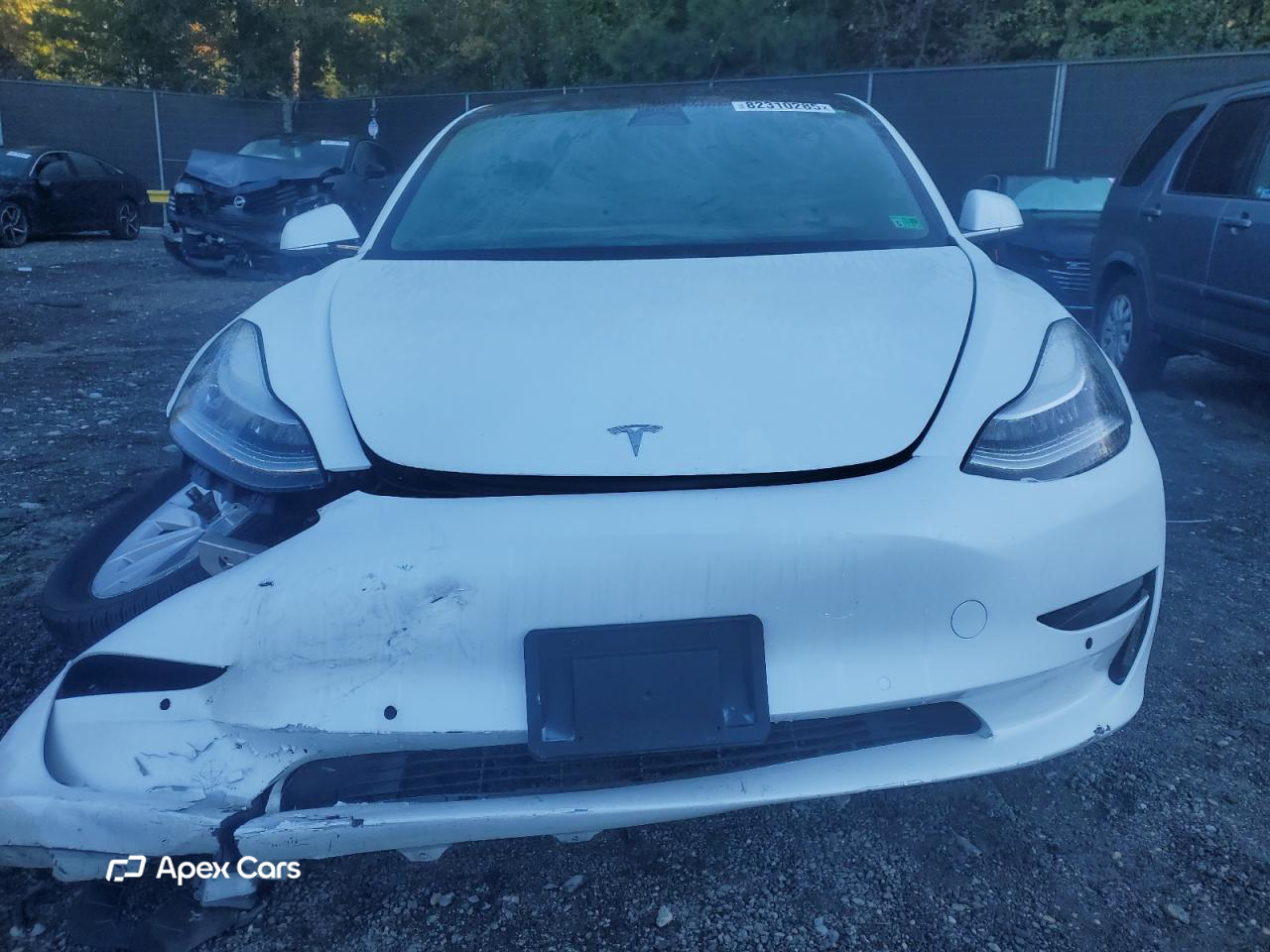 Tesla Model 3 2019