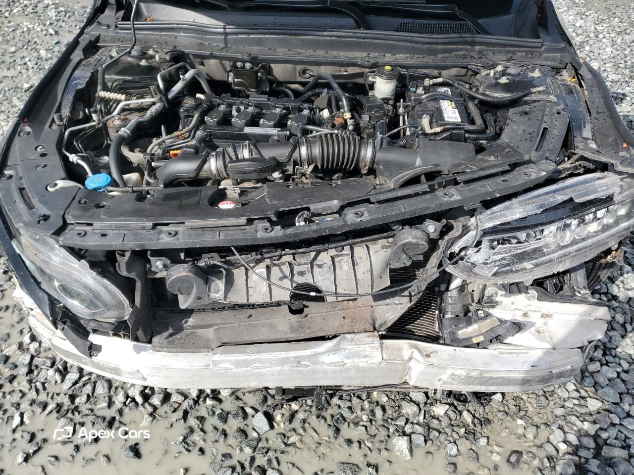 Honda Accord 2019