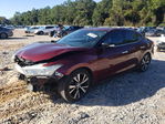 Nissan Maxima 2017