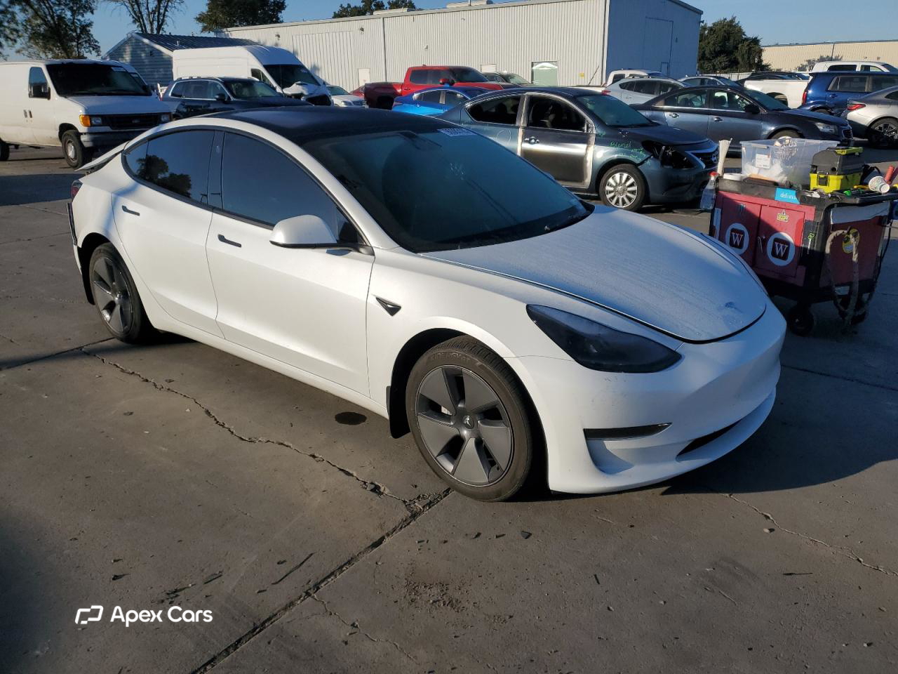 Tesla Model 3 2023