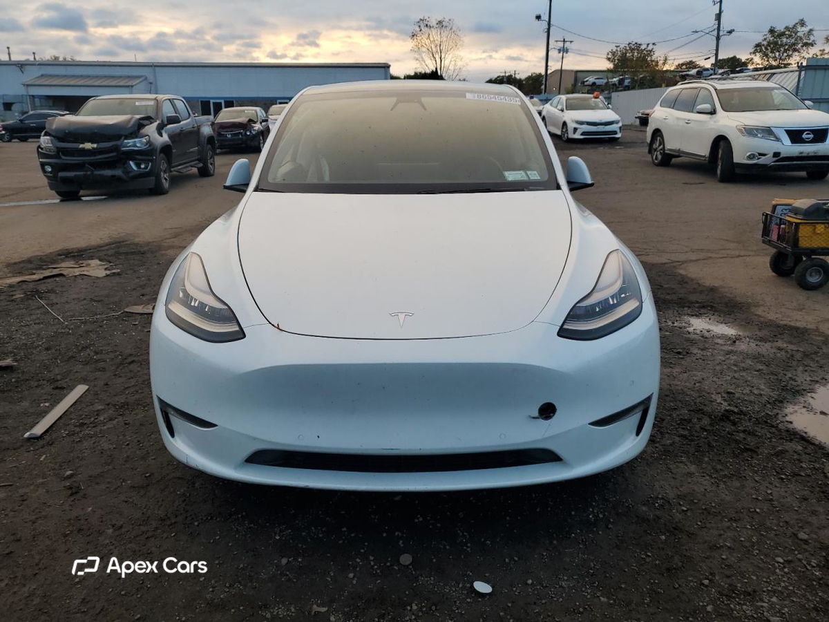 Tesla Model Y 2020