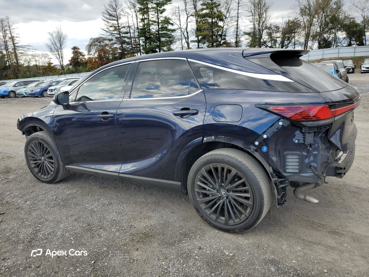 Lexus RX 2024