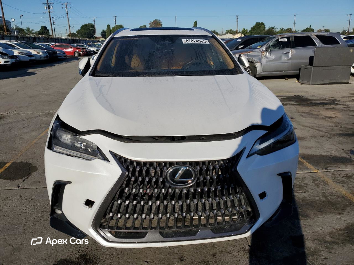Lexus NX 2024