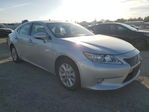Lexus ES 2014