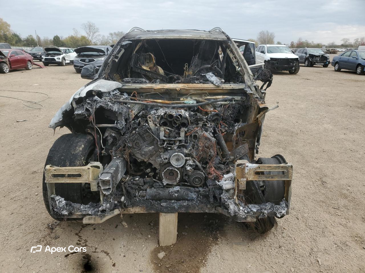 BMW X7 2025