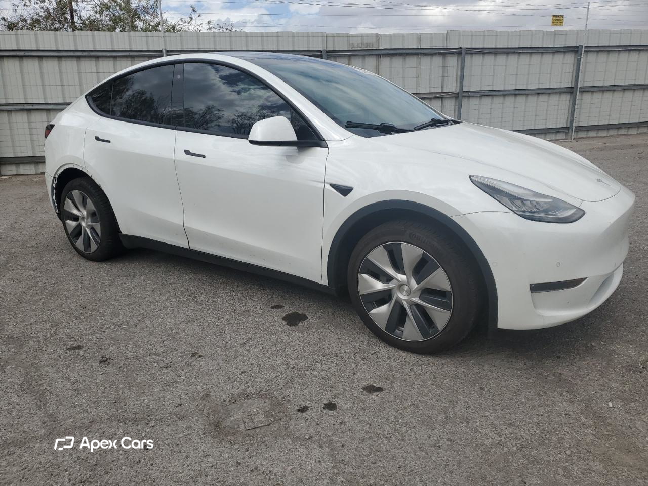 Tesla Model Y 2020