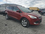 Ford Escape 2015