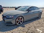Audi S5 2019