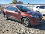 Ford Escape 2021