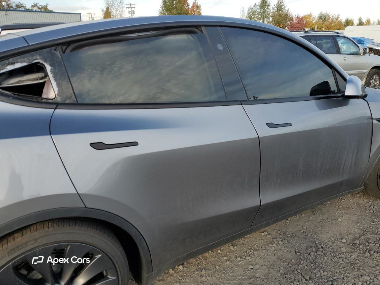 Tesla Model Y 2025