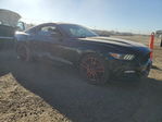 Ford Mustang 2016
