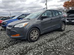 Ford Escape 2016