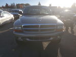 Dodge Dakota 2002