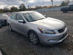 Honda Accord 2010