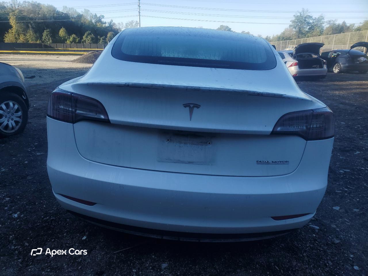 Tesla Model 3 2019