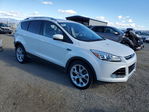 Ford Escape 2014