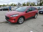 Ford Escape 2022
