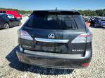 Lexus RX 2010