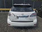 Lexus RX 2010