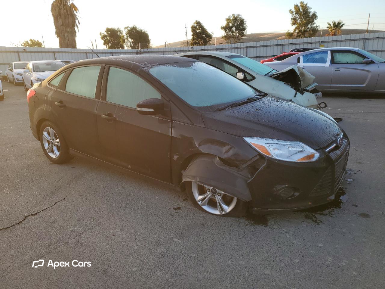 Ford Focus 2014