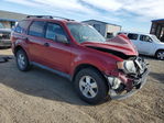 Ford Escape 2010