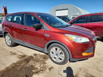 Ford Escape 2015