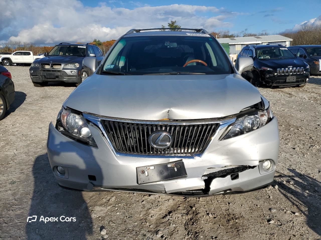 Lexus RX 2010