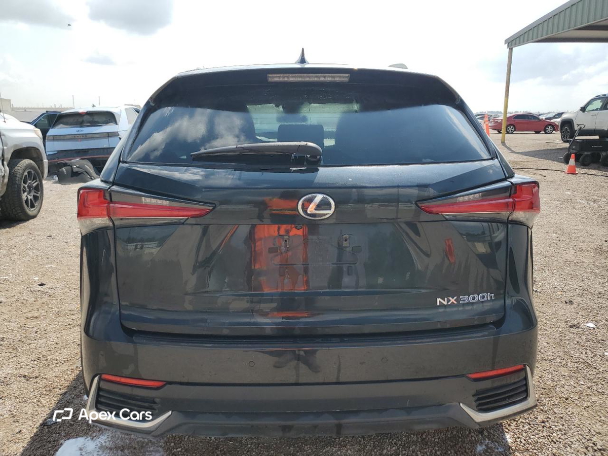Lexus NX 2019