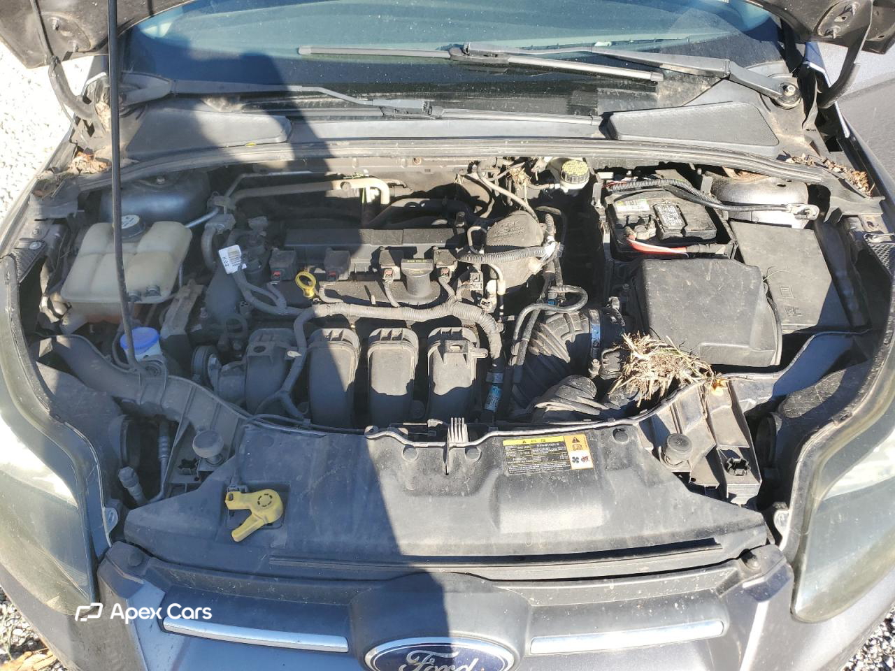 Ford Focus 2013
