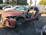 Lexus RX 2023