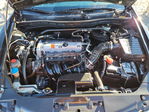 Honda Accord 2010
