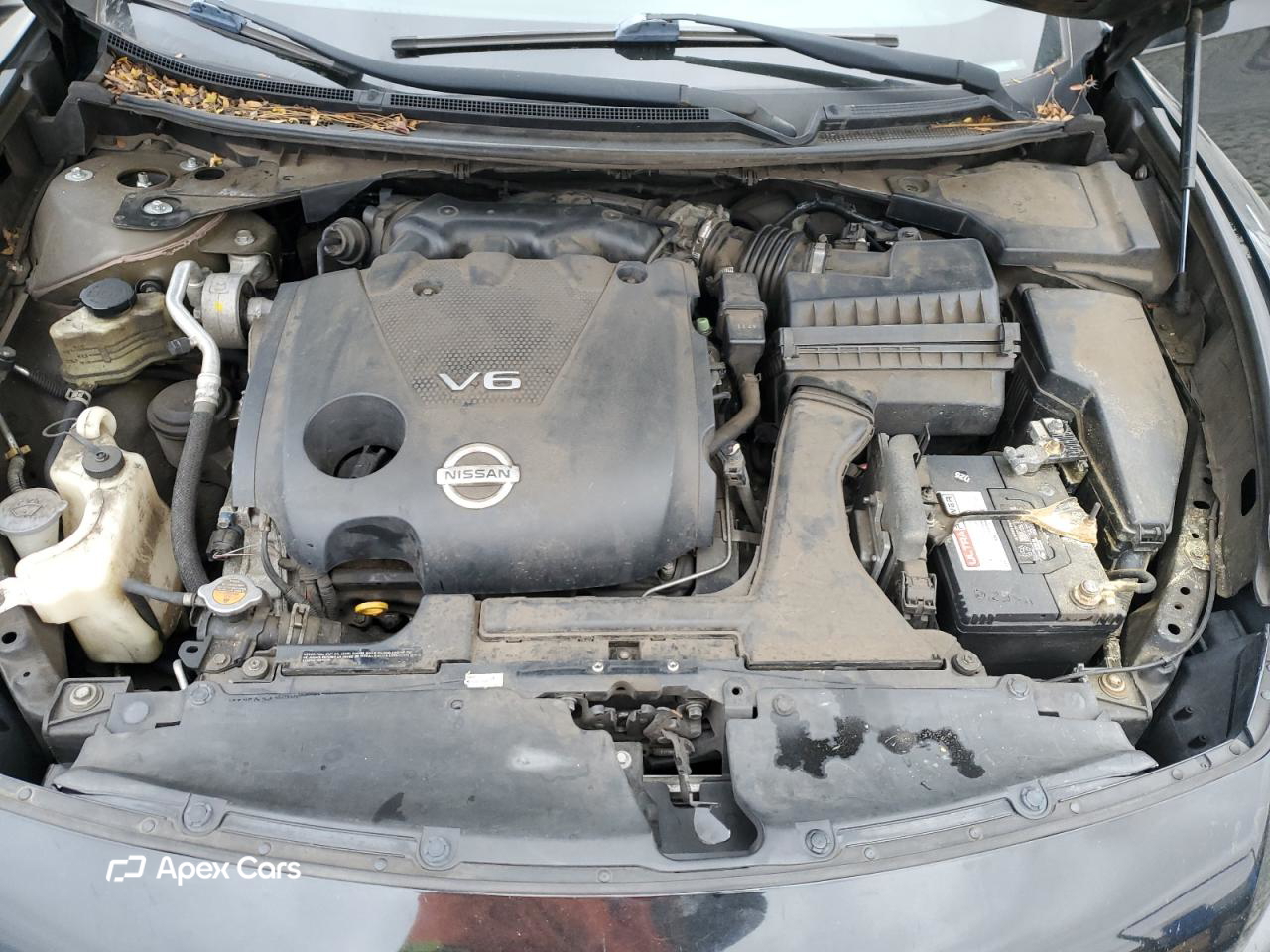 Nissan Maxima 2014
