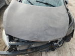 Nissan Maxima 2012