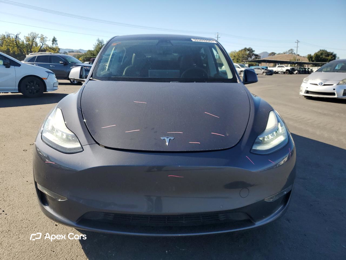 Tesla Model Y 2020