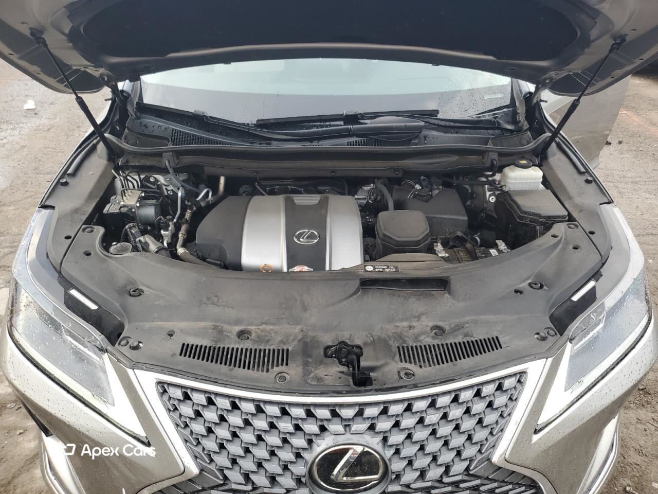 Lexus RX 2022