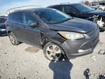 Ford Escape 2014