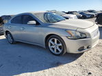 Nissan Maxima 2010