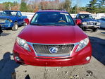 Lexus RX 2011