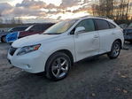 Lexus RX 2010
