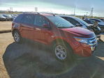 Ford Edge 2013