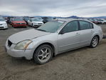 Nissan Maxima 2005