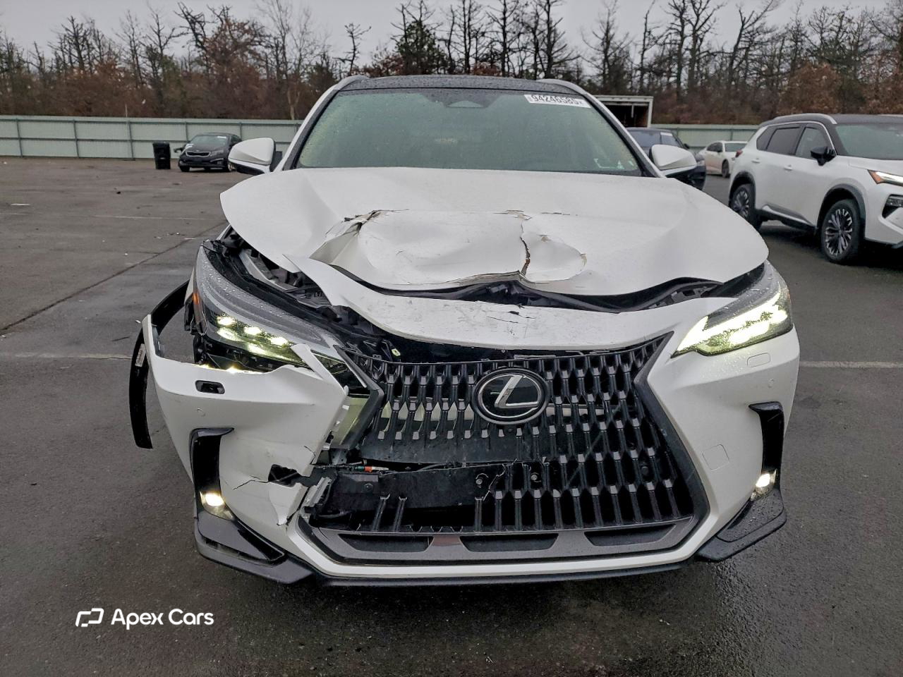 Lexus NX 2025