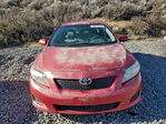 Toyota Corolla 2009