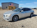 Nissan Maxima 2012