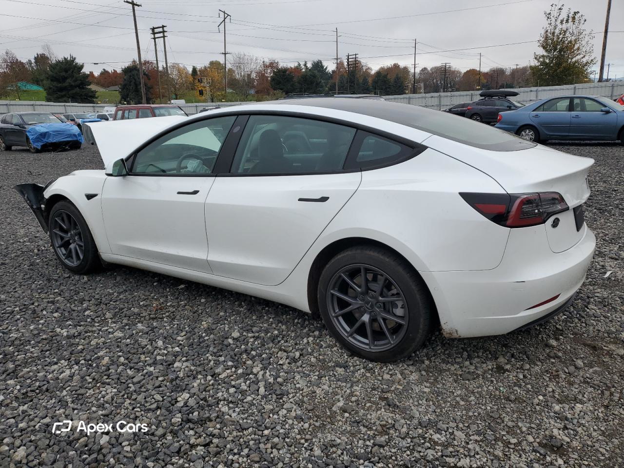 Tesla Model 3 2021