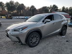 Lexus NX 2020