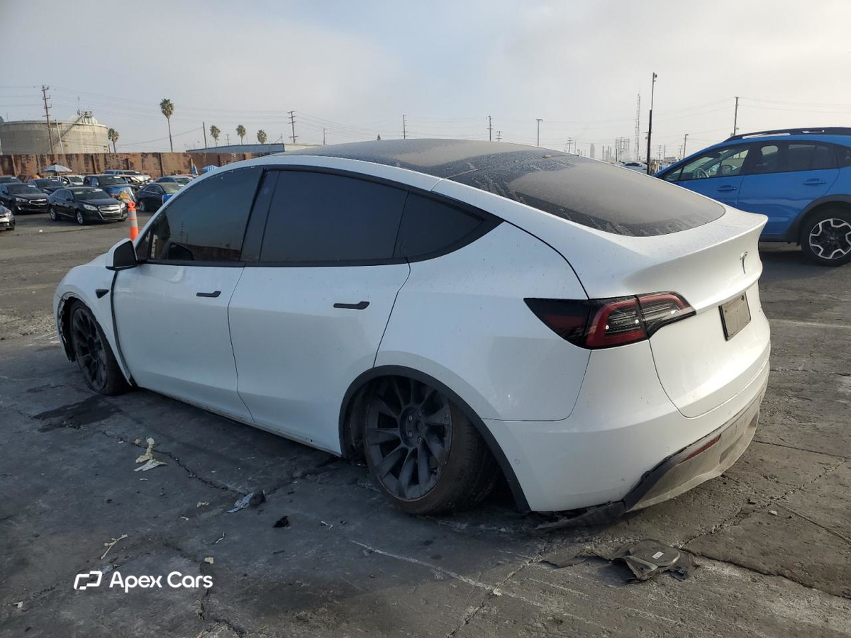 Tesla Model Y 2021