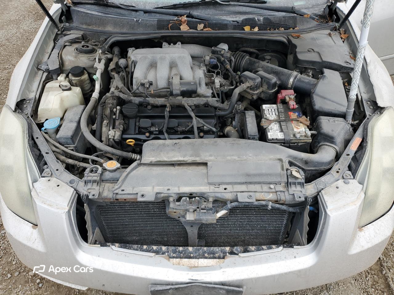 Nissan Maxima 2005